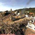 16_10-nest.jpg
