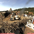 16_15-nest.jpg