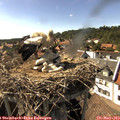 16_35-nest.jpg