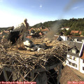 16_55-nest.jpg