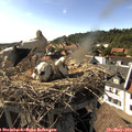 17_05-nest.jpg