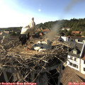 17_30-nest.jpg