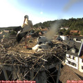 17_45-nest.jpg