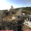 17_50-nest.jpg