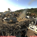 17_55-nest.jpg