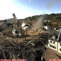 18_05-nest.jpg