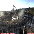 19_40-nest.jpg