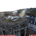 20_55-nest.jpg