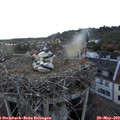 21_05-nest.jpg
