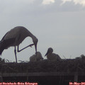 08_55-mast.jpg