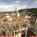 10_10-nest.jpg