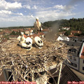 10_20-nest.jpg