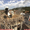 10_35-nest.jpg