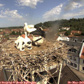 10_55-nest.jpg