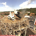 11_00-nest.jpg