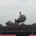 11_05-mast.jpg