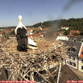 11_35-nest.jpg
