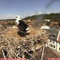 12_05-nest.jpg