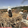 12_10-nest.jpg