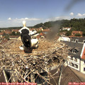 12_15-nest.jpg