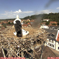 12_20-nest.jpg