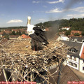 12_35-nest.jpg