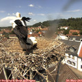 12_55-nest.jpg