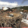 13_35-nest.jpg