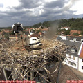 14_05-nest.jpg