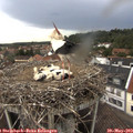 14_25-nest.jpg