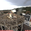 14_35-nest.jpg