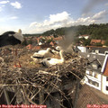16_05-nest.jpg