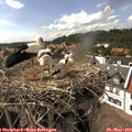 16_10-nest.jpg
