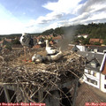 16_25-nest.jpg