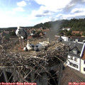 16_30-nest.jpg