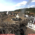 16_40-nest.jpg