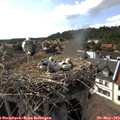16_45-nest.jpg