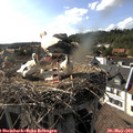 17_05-nest.jpg