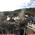 18_30-nest.jpg