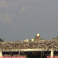 18_35-mast.jpg