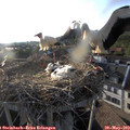 19_15-nest.jpg