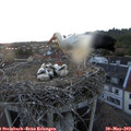 21_10-nest.jpg