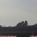 06_20-mast.jpg