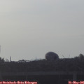 06_30-mast.jpg