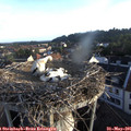 06_35-nest.jpg