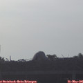 06_40-mast.jpg