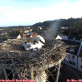 06_40-nest.jpg