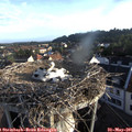 06_45-nest.jpg
