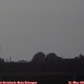 06_50-mast.jpg