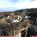 07_00-nest.jpg